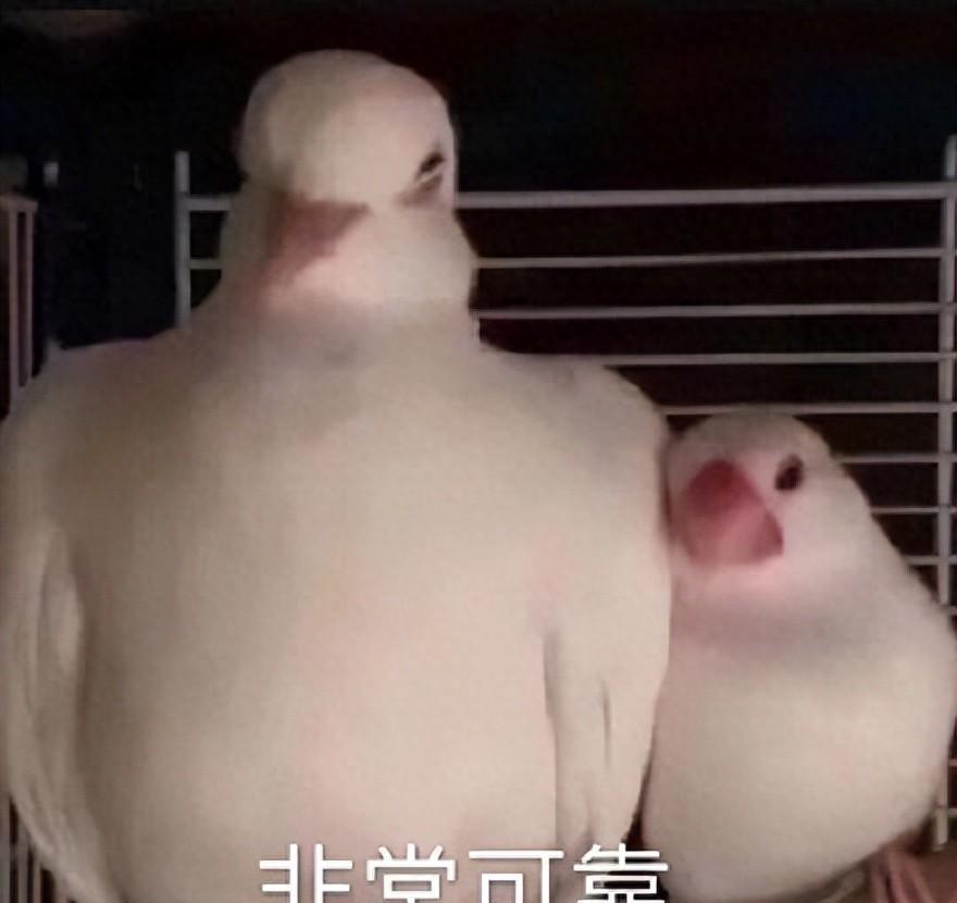 作為曾經的踩坑人,我做了以下5大明智的家居決定,幸福感倍增
